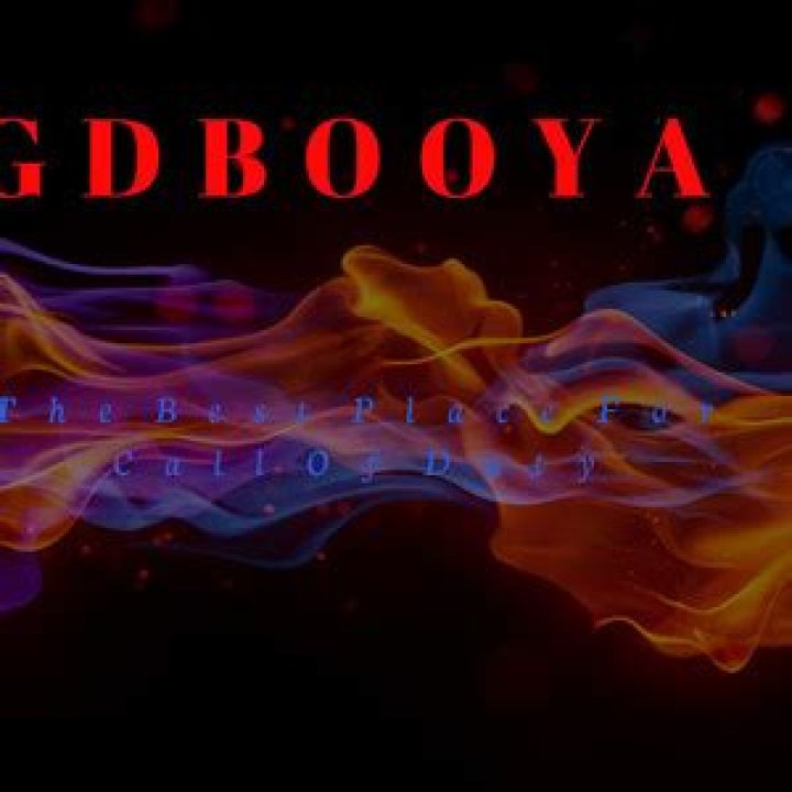  GDbooya