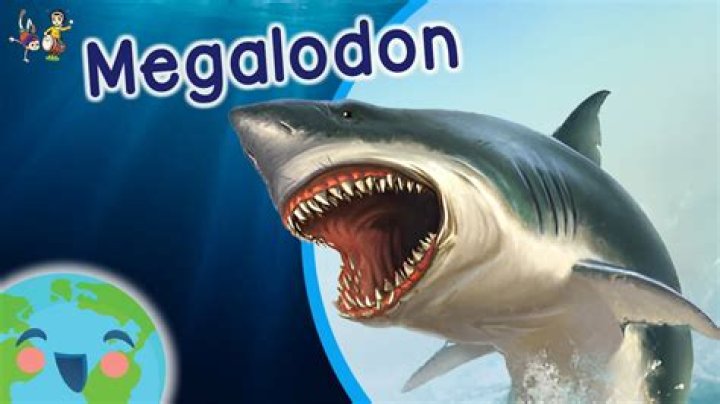 How to spell megalodon