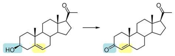 What is the Difference Between DHEA and Pregnenolone